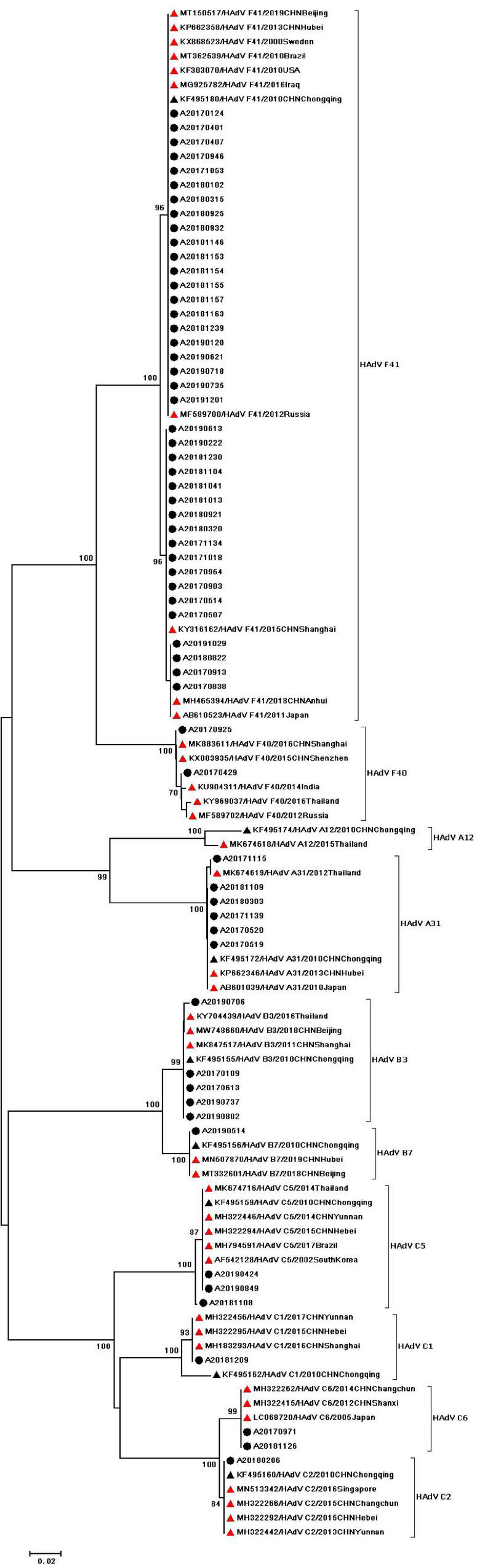 FIGURE 2