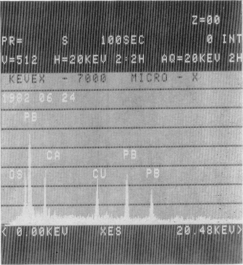 Fig. 10