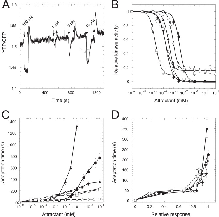 FIG 1