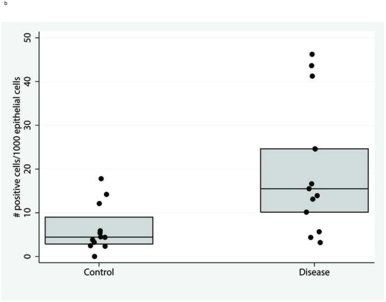 Figure. 4