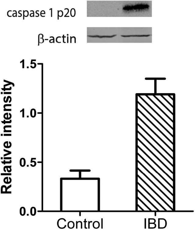 Figure. 5