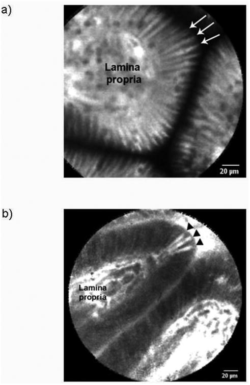 Figure. 1