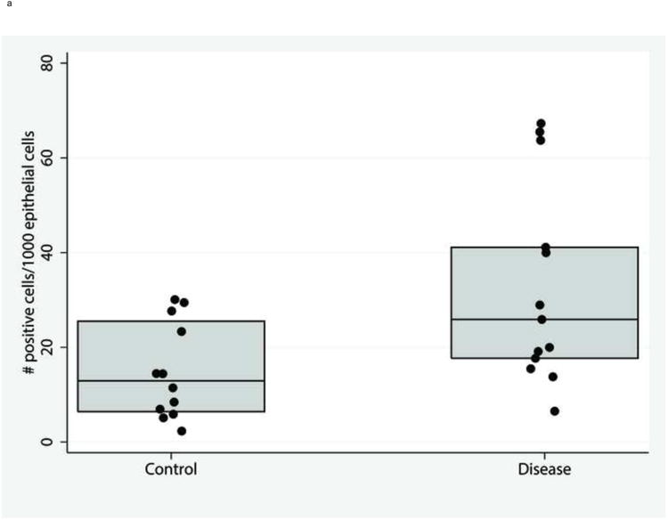 Figure. 4