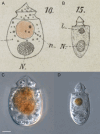 Figure 14