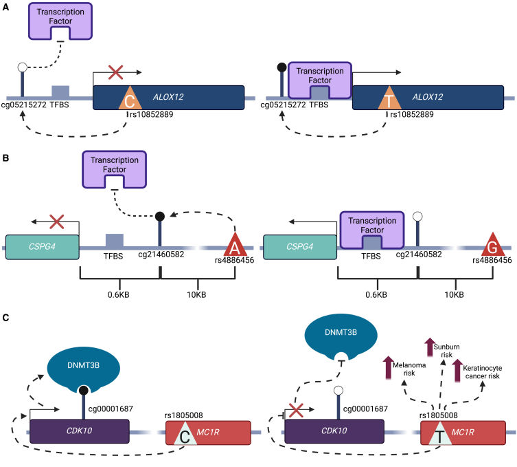 Figure 5