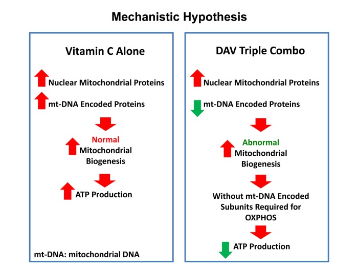 Figure 16