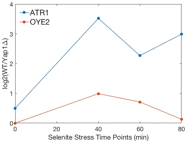 Figure 4.