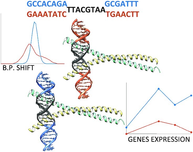 Graphical Abstract