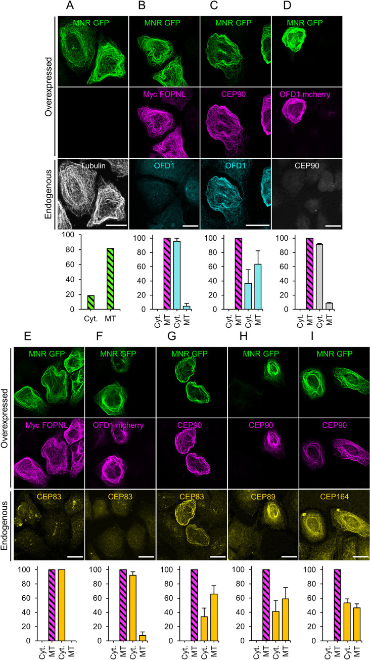 Fig 8