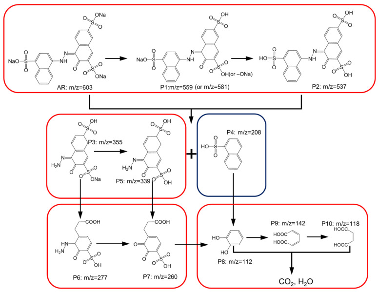 Figure 10