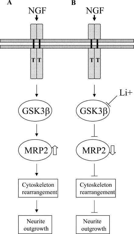 FIG. 9.