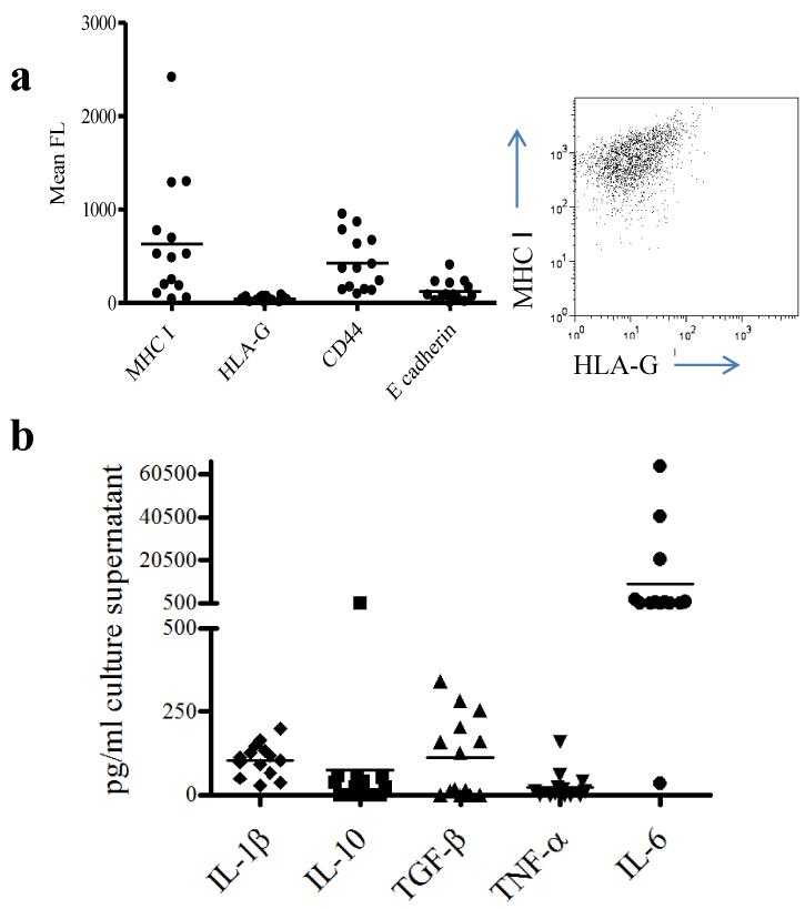 Fig.1