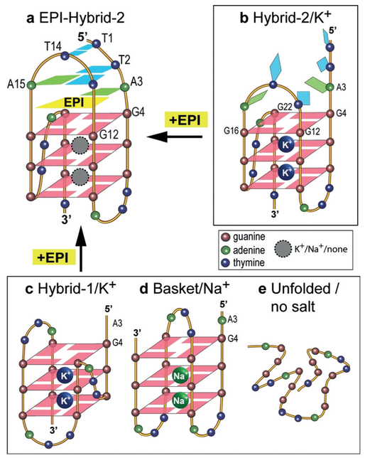 Figure 5.