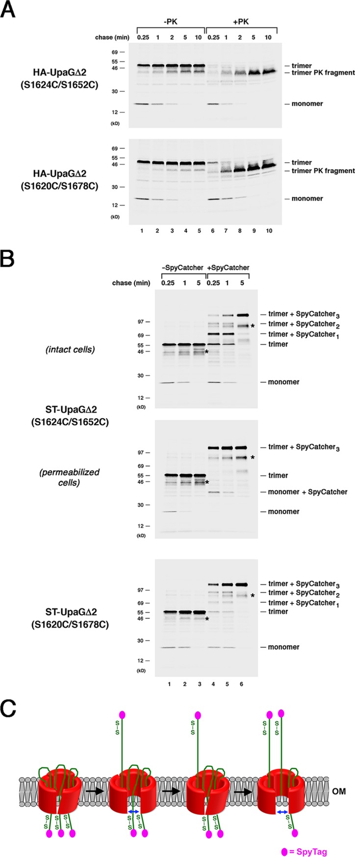 FIG 5