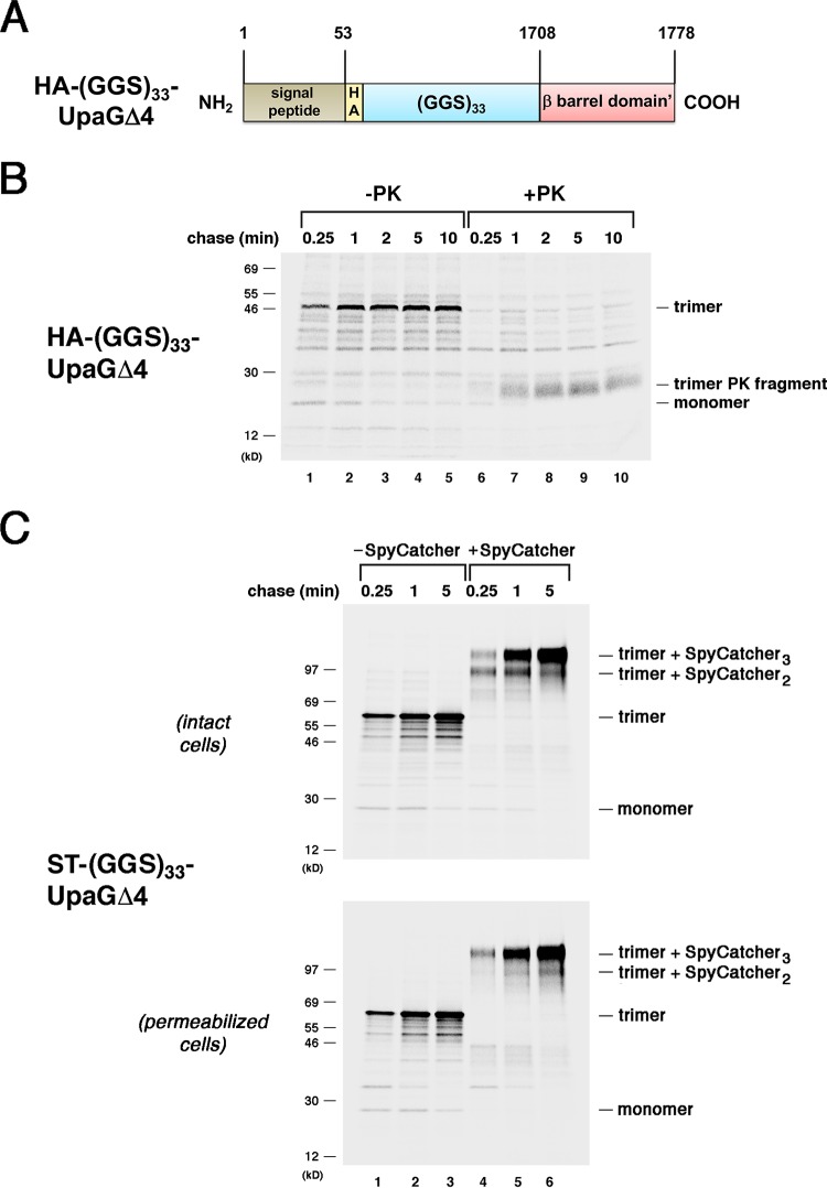 FIG 4