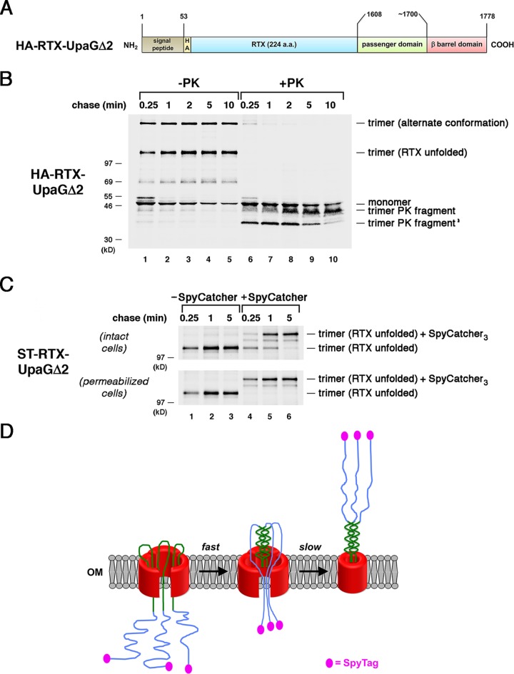 FIG 3