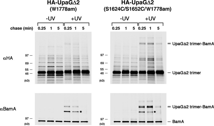 FIG 6