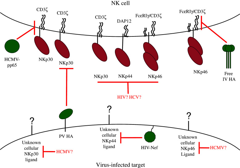 Fig. 2