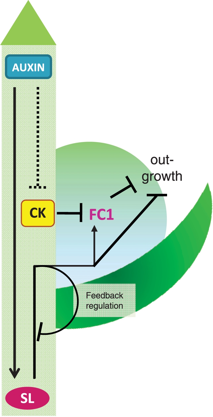 Fig. 6