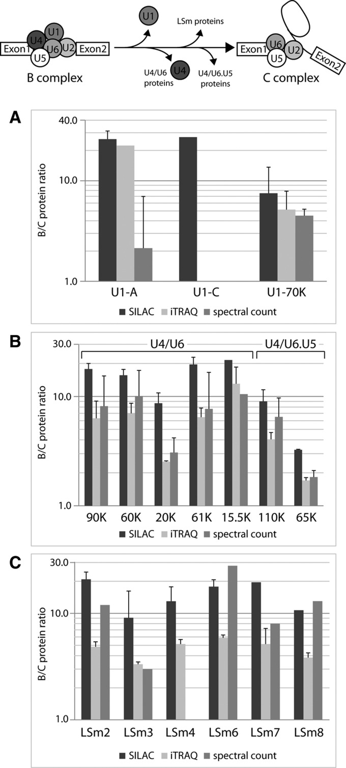 FIGURE 4.