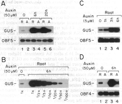 graphic file with name pnas01129-0141-a.jpg