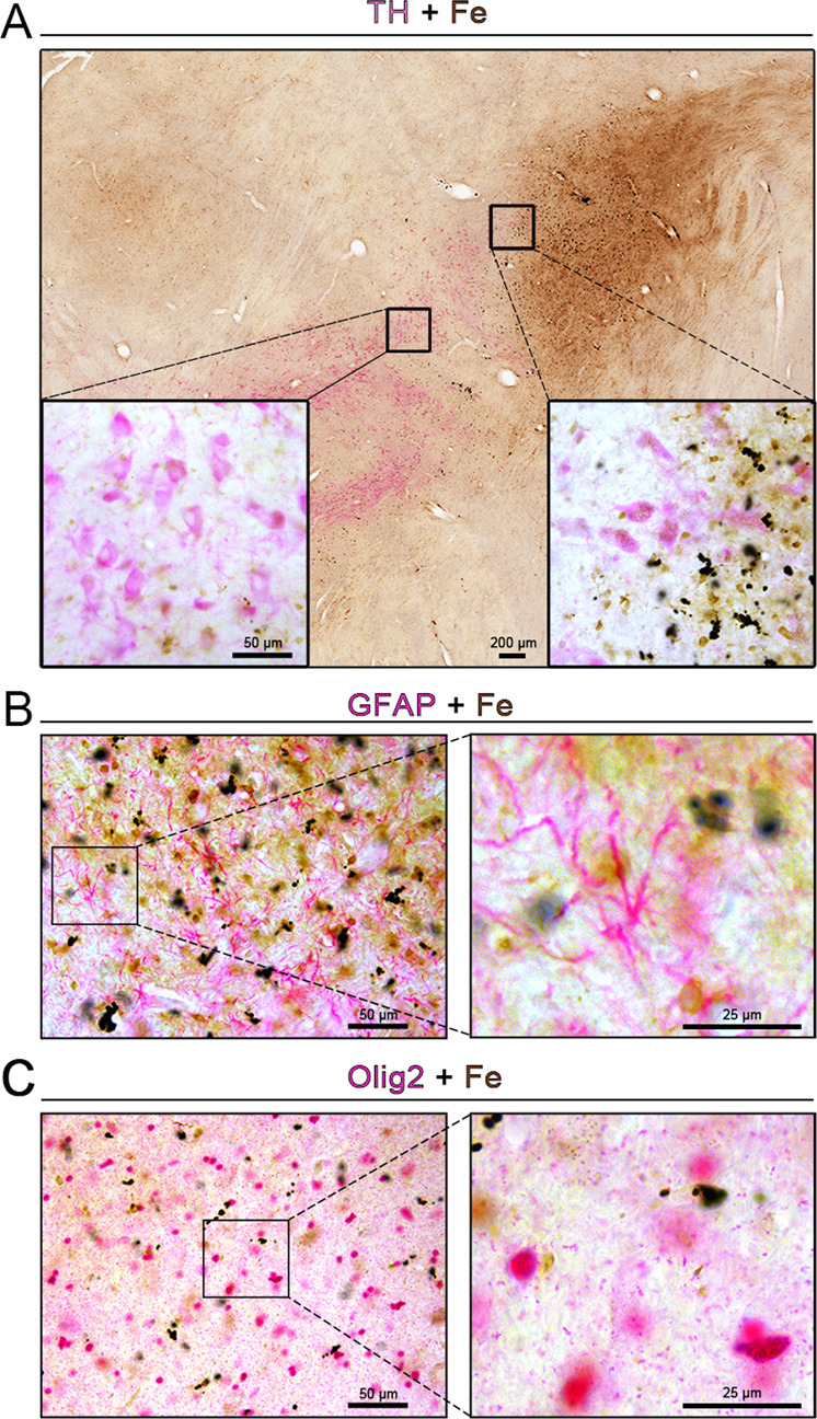 Fig. 4