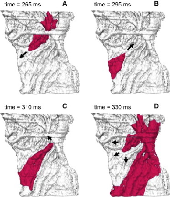 Figure 13