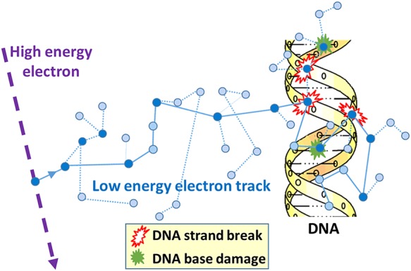 Figure 2