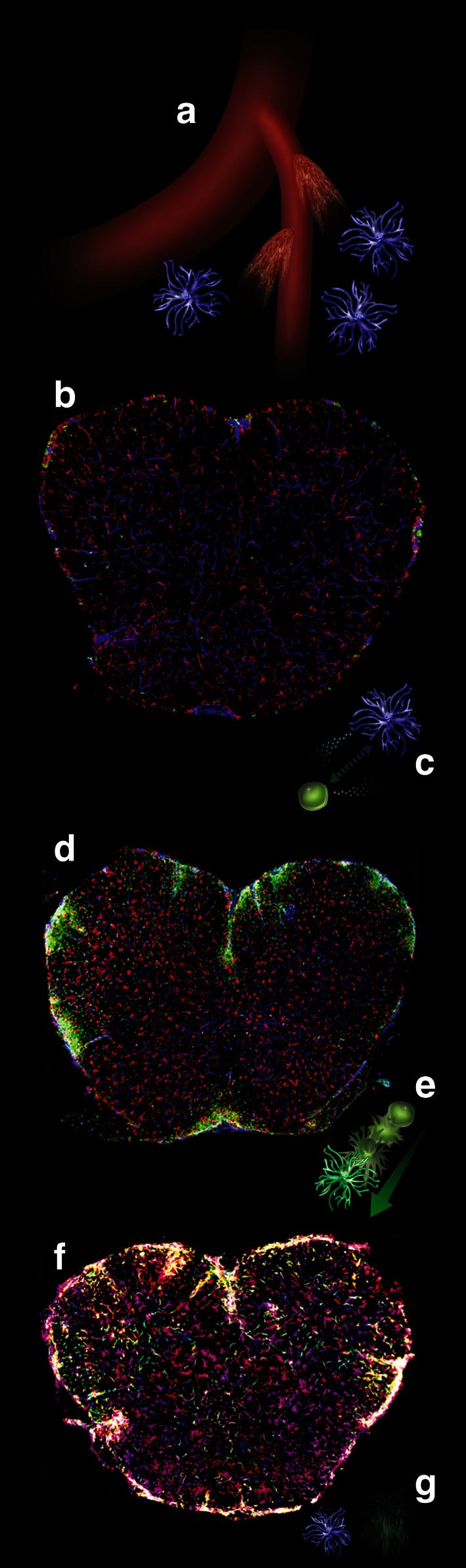 Fig. 1