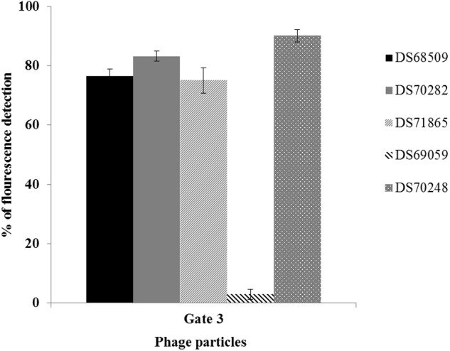 FIGURE 3