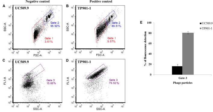 FIGURE 2