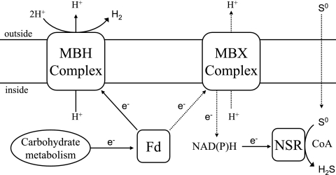 FIG. 5.