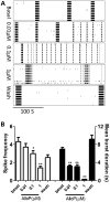 Figure 10.