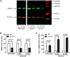 Figure 1.