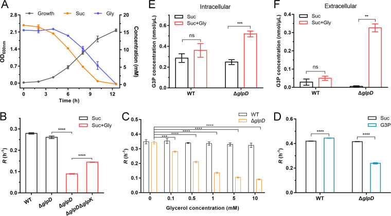 FIG 3