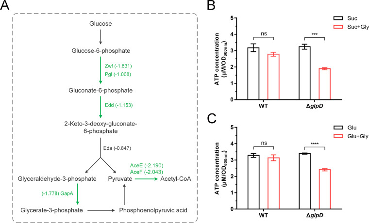 FIG 6