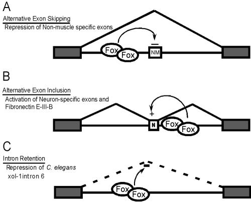 FIG. 8.