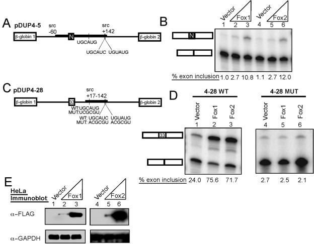 FIG. 4.