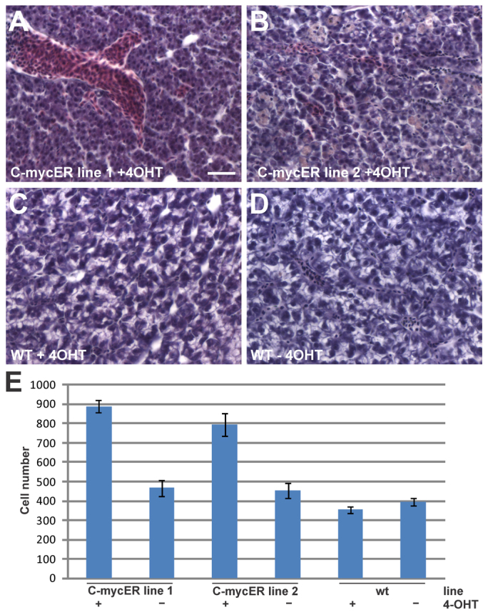 Fig. 7.