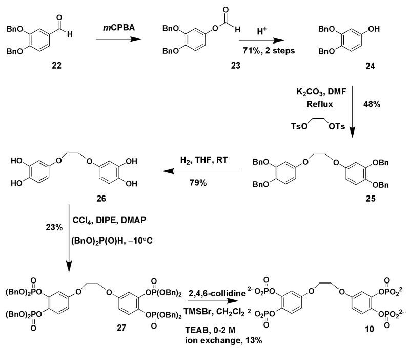 Scheme 3