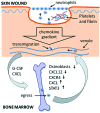 <b>Figure 2.</b>