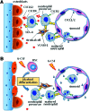 <b>Figure 5.</b>