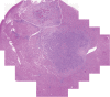 Figure 4c: