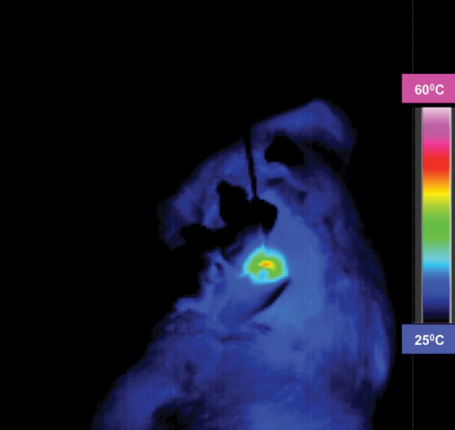 Figure 3e: