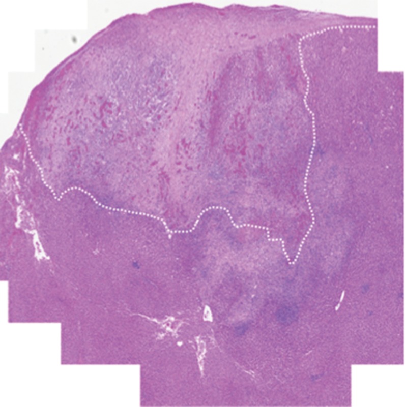 Figure 4d: