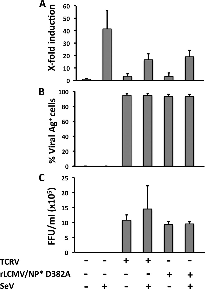 Fig 5