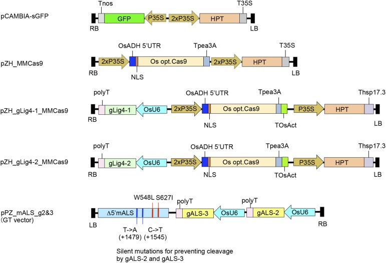 Figure 2.