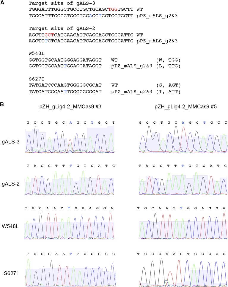 Figure 5.