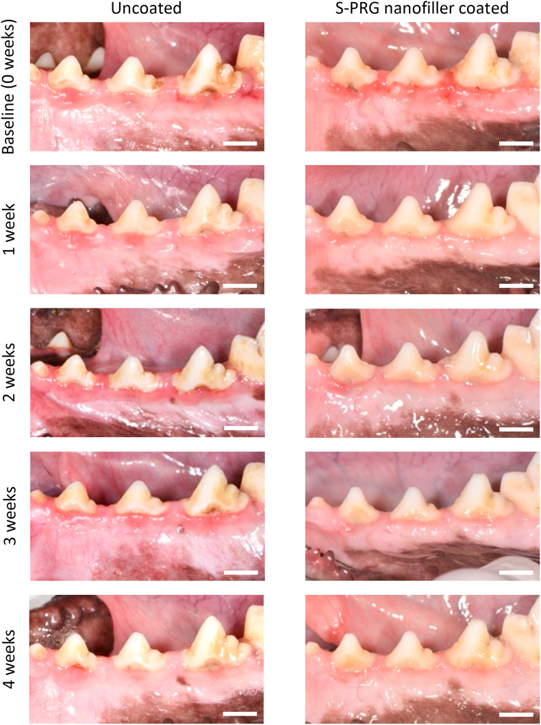 Figure 5