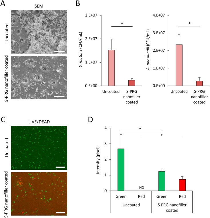 Figure 4